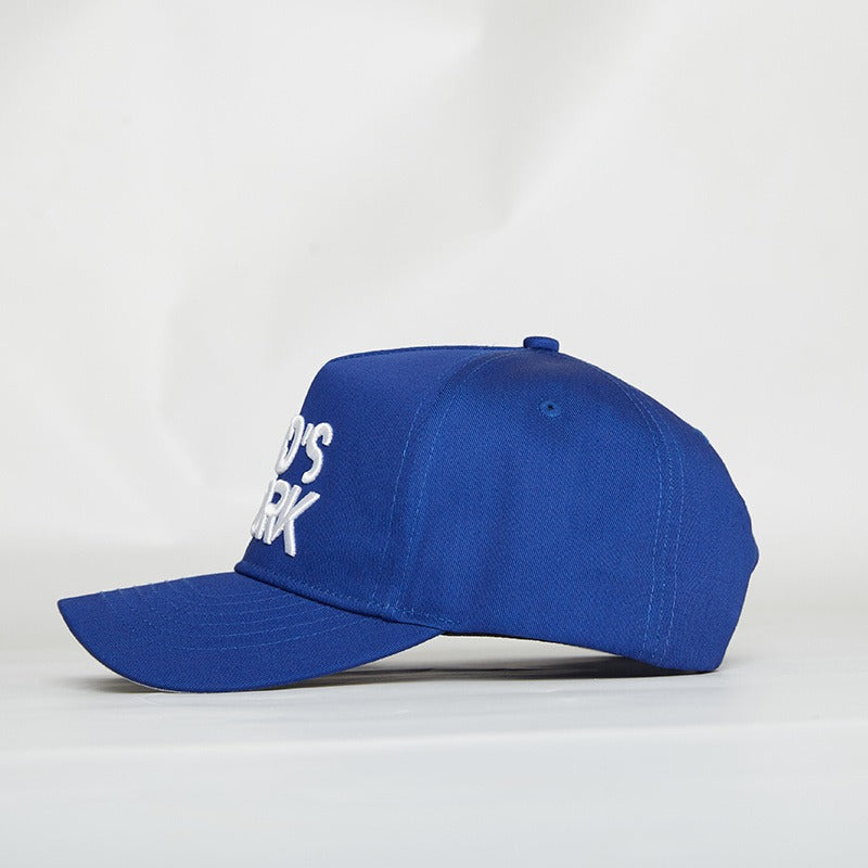 God’s Work- Signature Series Cobalt Snap-Back Proclaim Clothing.